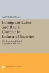 Immigrant Labor and Racial Conflict in Industrial Societies cover