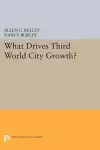 What Drives Third World City Growth? cover