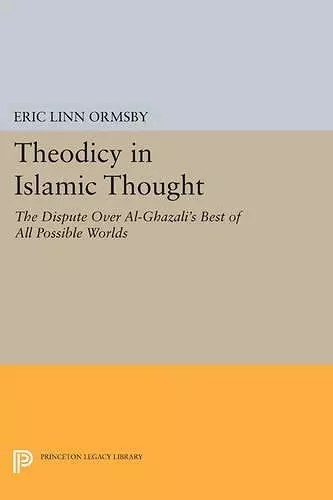 Theodicy in Islamic Thought cover