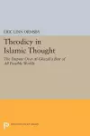 Theodicy in Islamic Thought cover