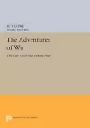 The Adventures of Wu cover