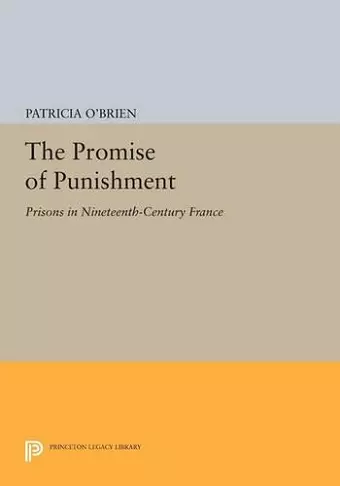 The Promise of Punishment cover