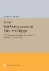 Jewish Self-Government in Medieval Egypt cover