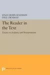 The Reader in the Text cover