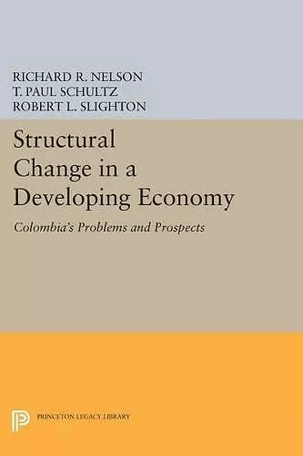 Structural Change in a Developing Economy cover