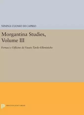 Morgantina Studies, Volume III cover