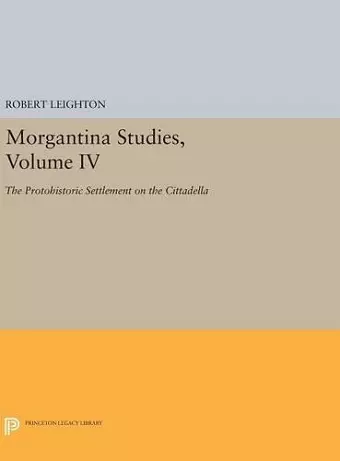 Morgantina Studies, Volume IV cover