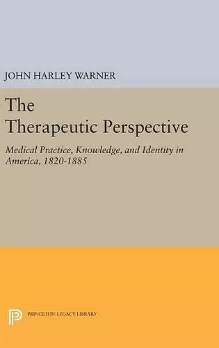 The Therapeutic Perspective cover