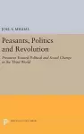 Peasants, Politics and Revolution cover