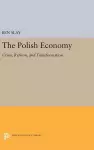 The Polish Economy cover