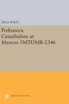 Prehistoric Cannibalism at Mancos 5MTUMR-2346 cover
