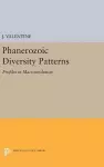 Phanerozoic Diversity Patterns cover