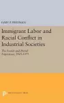 Immigrant Labor and Racial Conflict in Industrial Societies cover