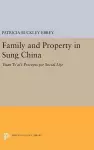 Family and Property in Sung China cover