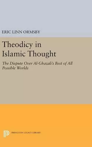 Theodicy in Islamic Thought cover