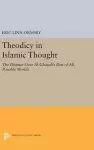 Theodicy in Islamic Thought cover