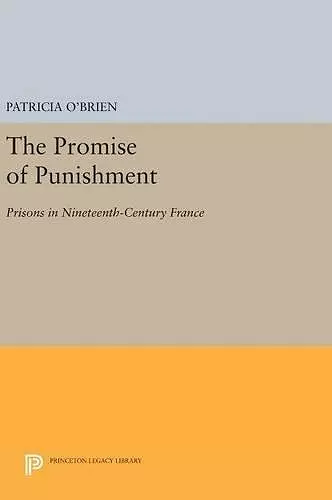 The Promise of Punishment cover