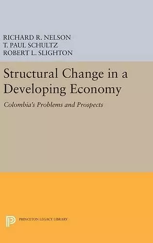 Structural Change in a Developing Economy cover