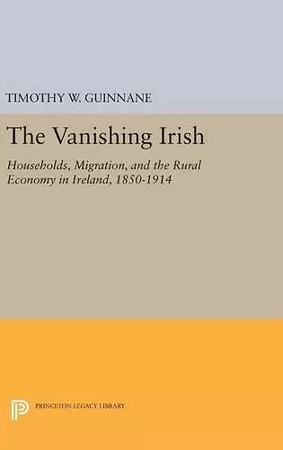 The Vanishing Irish cover