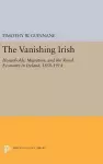 The Vanishing Irish cover