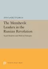 The Menshevik Leaders in the Russian Revolution cover