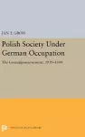 Polish Society Under German Occupation cover