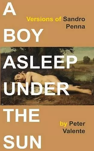 A Boy Asleep Under the Sun cover