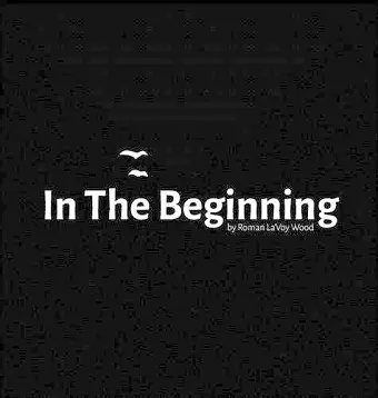 In The Beginning cover