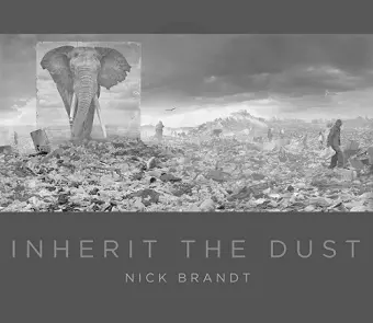 Nick Brandt cover