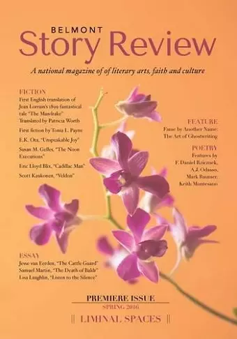 Belmont Story Review cover