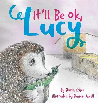 It'll Be Ok, Lucy cover