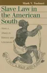 Slave Law in the American South cover