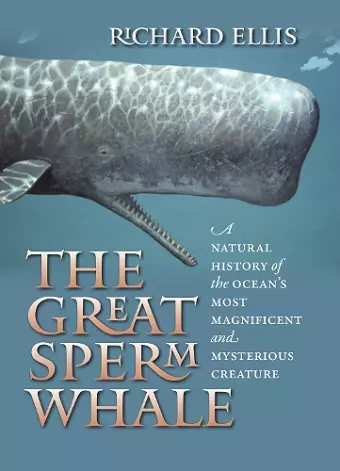 The Great Sperm Whale cover