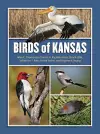 Birds of Kansas cover