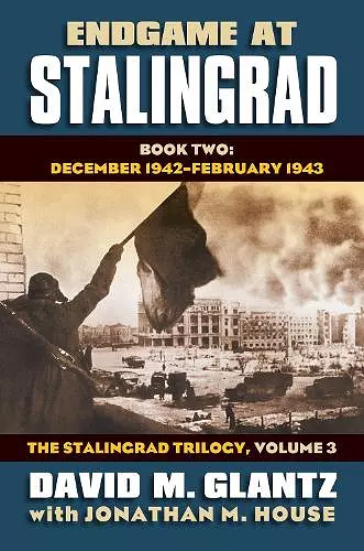 Endgame at Stalingrad: The Stalingrad Trilogy, Volume 3 cover