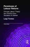 Paradoxes of Labour Reform cover