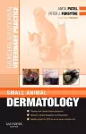 Saunders Solutions in Veterinary Practice: Small Animal Dermatology cover