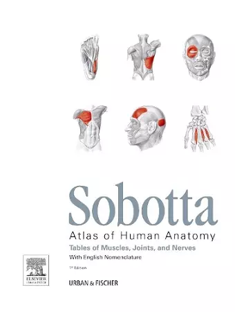 Sobotta Tables of Muscles, Joints and Nerves, English cover