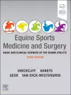 Equine Sports Medicine and Surgery cover