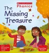 The Missing Treasure (Set 13) cover