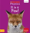 It is a Fox! (Set 3) Matched to Little Wandle Letters and Sounds Revised cover