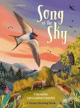 Song of the Sky cover