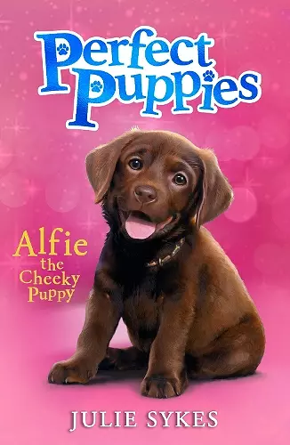 Perfect Puppies Book 1 cover