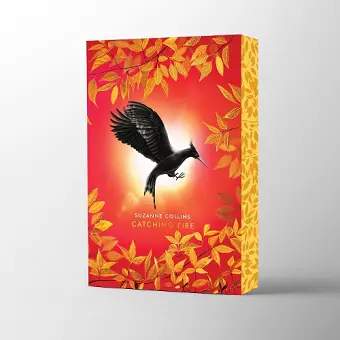 Catching Fire Deluxe cover