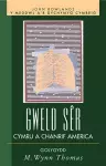 Gweld Sêr cover