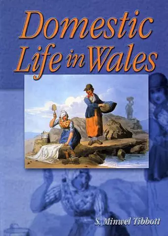 Domestic Life in Wales cover