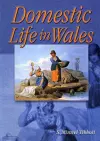 Domestic Life in Wales cover