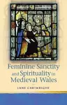 Feminine Sanctity and Spirituality in Medieval Wales cover