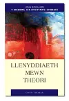 Llenyddiaeth Mewn Theori cover