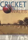 Cricket in Wales cover